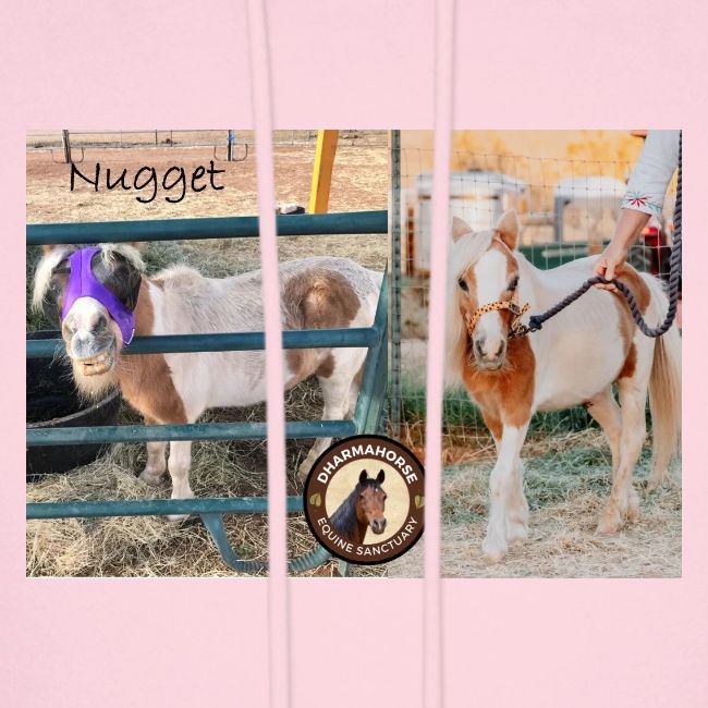 Nugget