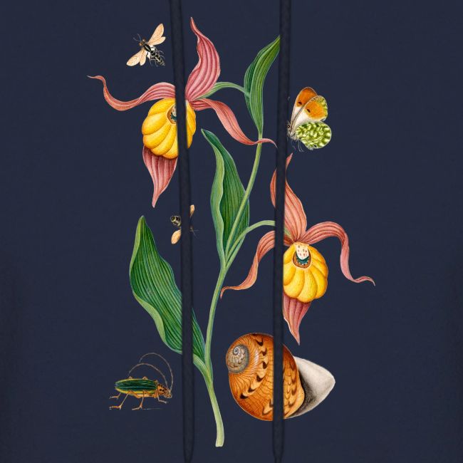 Lady Slipper Orchid