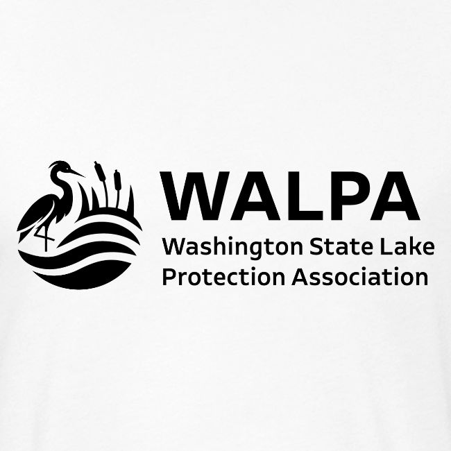 WALPA 1 Black