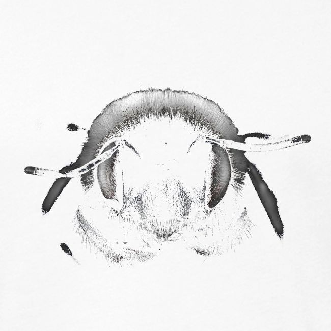 Bee Transparent Black