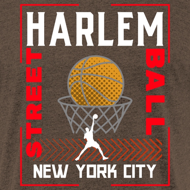 Harlem StreetBall New York City