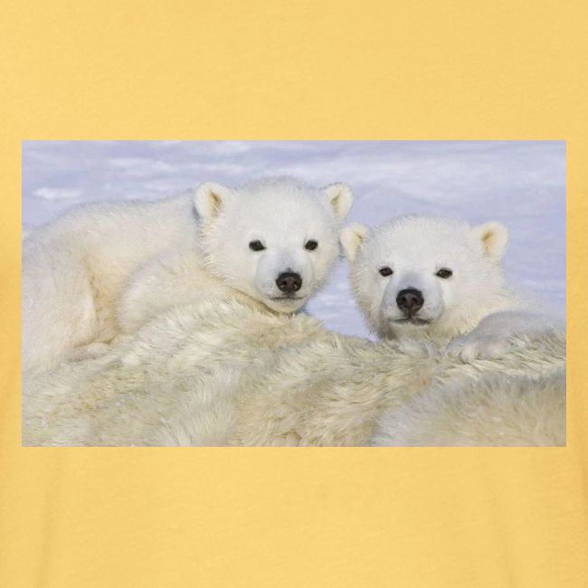 polarbears
