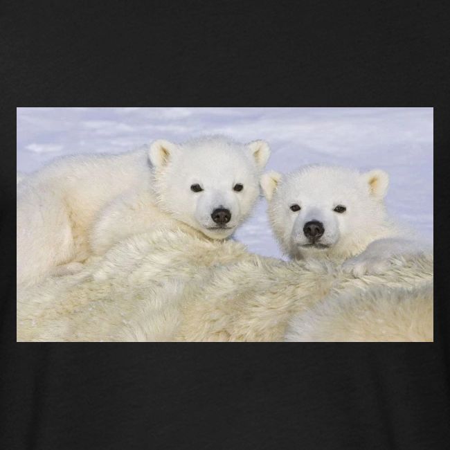 polarbears