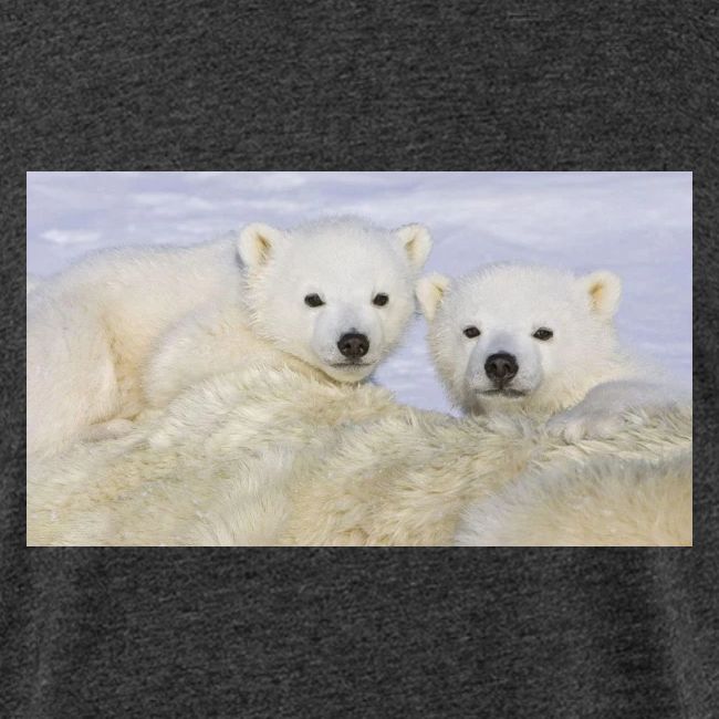 polarbears