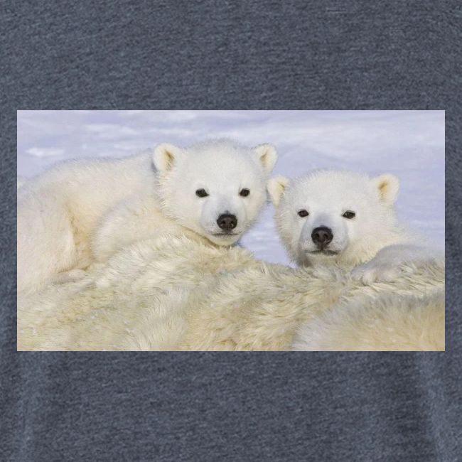 polarbears
