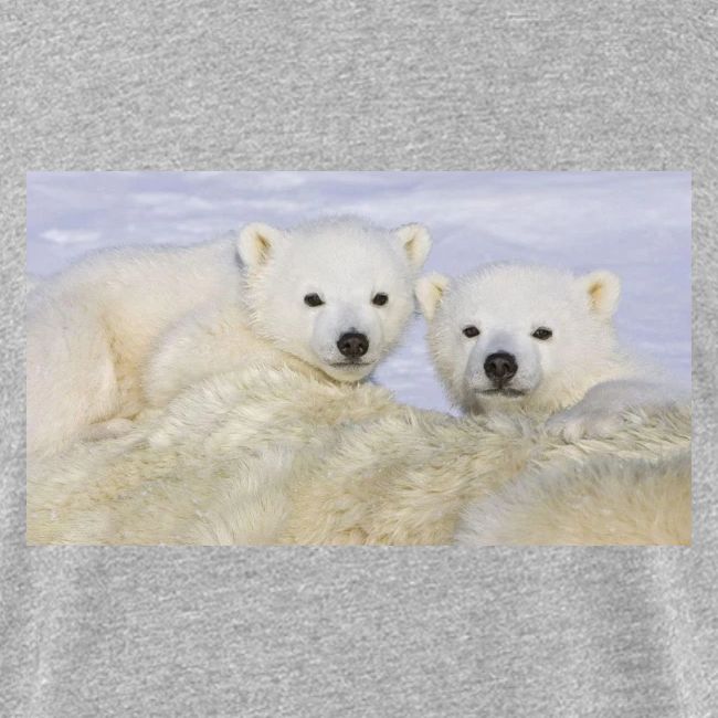 polarbears