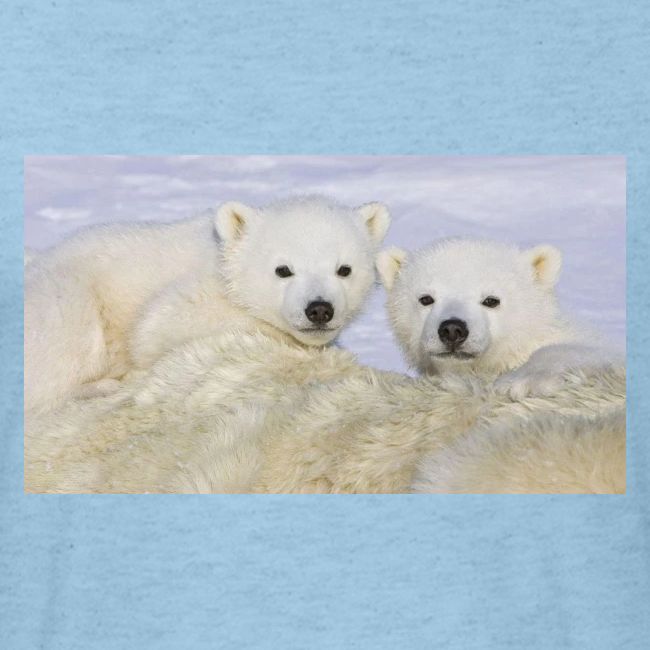 polarbears