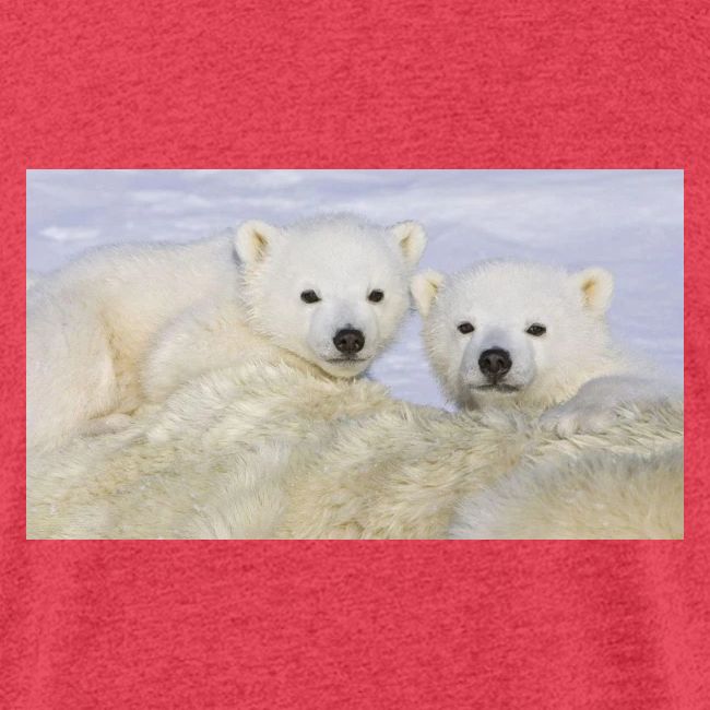 polarbears