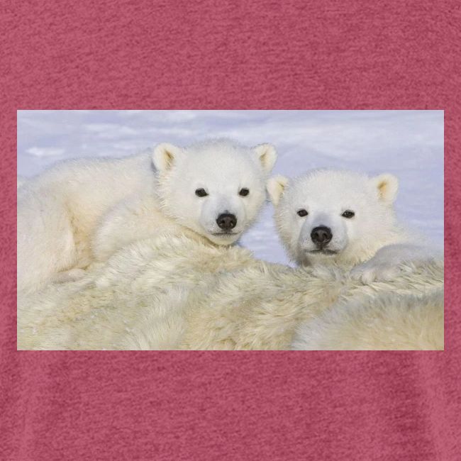 polarbears