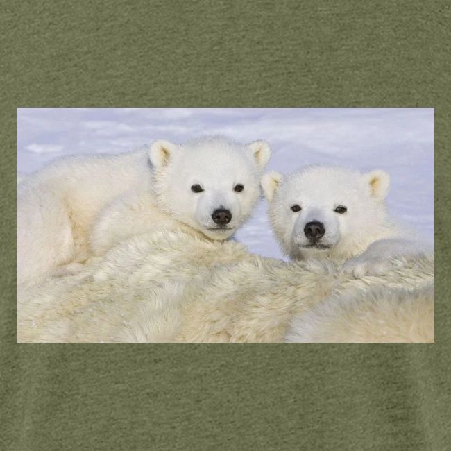polarbears
