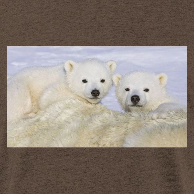 polarbears