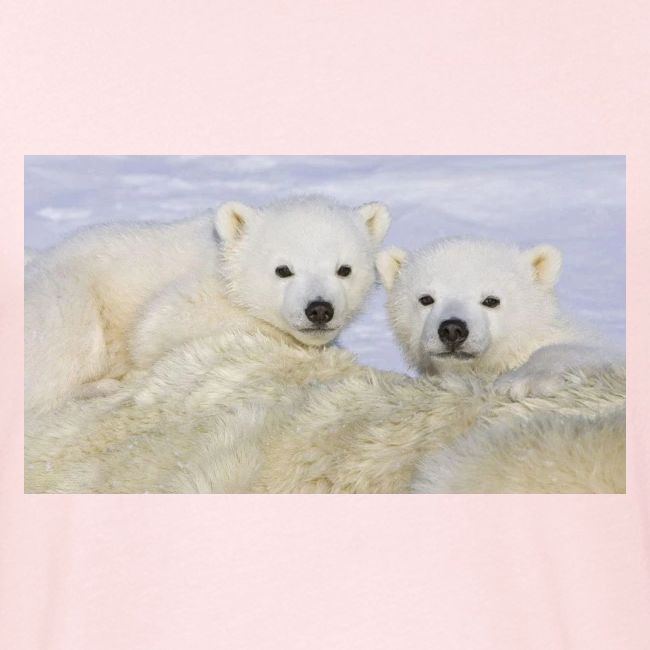 polarbears