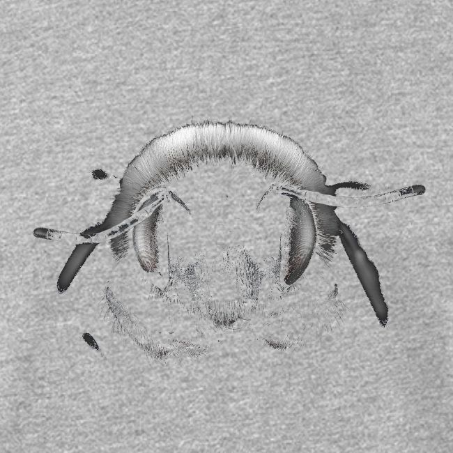 Bee Transparent Black