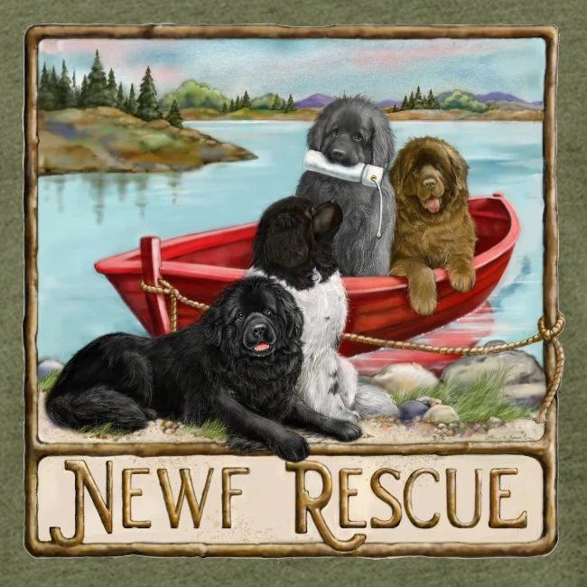 NCA Newfoundland Dog Rescue Gear