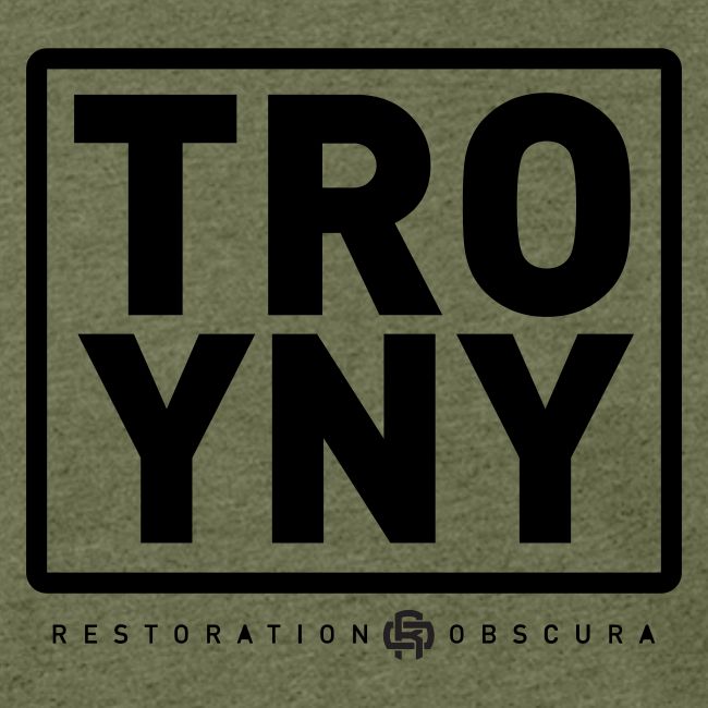 TROY NY Cube