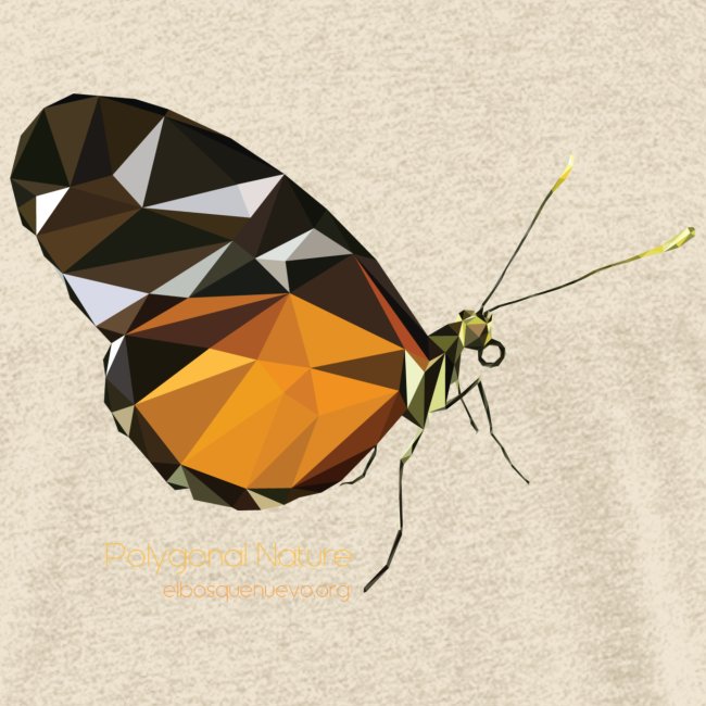 poligon_butterfly_1