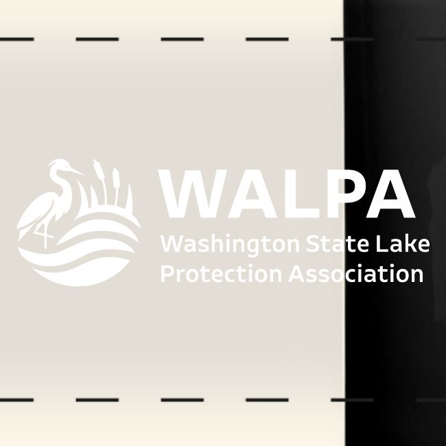 WALPA White logo