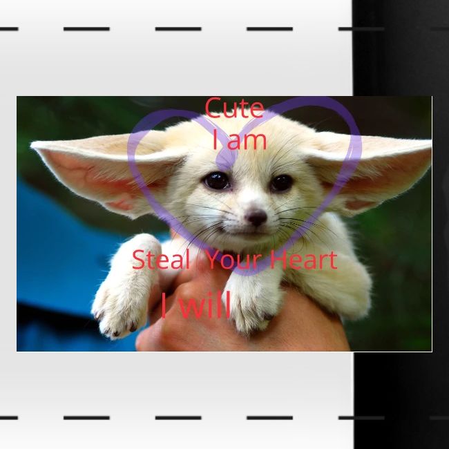 baby fox