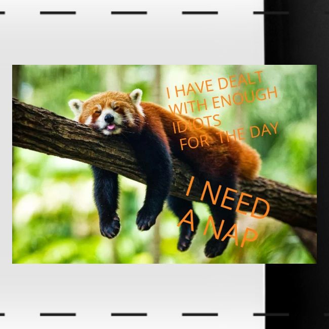 Fox napping meme