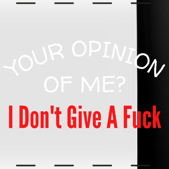 Your Opinion Of Me I Don't Give A Fuck