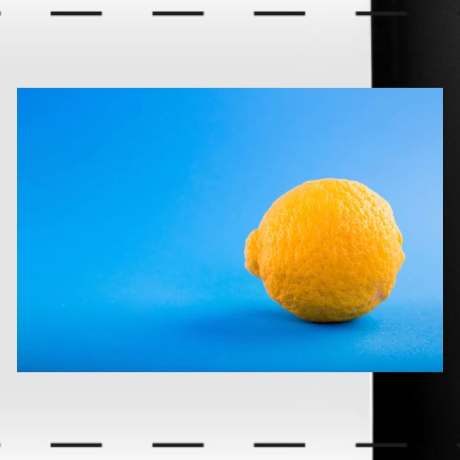 "Lemon" Cute Photo. Buy Now
