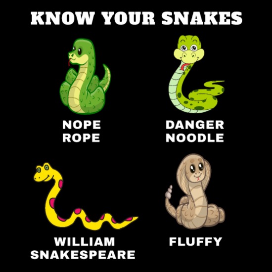 Know Your Snakes Funny Names Danger Noodle Nope' Full Color Panoramic Mug |  Spreadshirt
