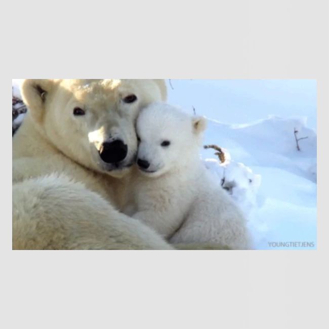 polarbearhug