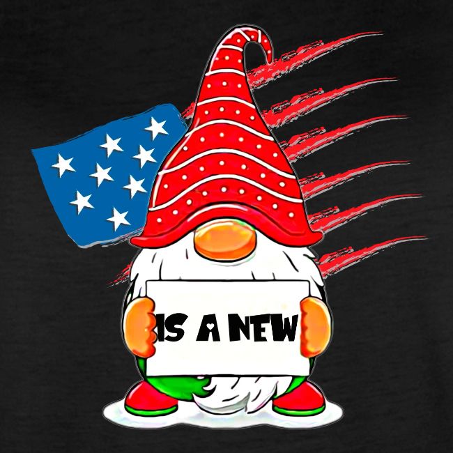 Christmas funny gnomes