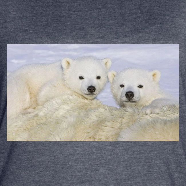 polarbears