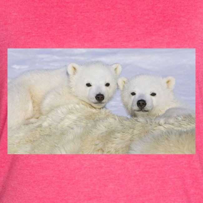 polarbears