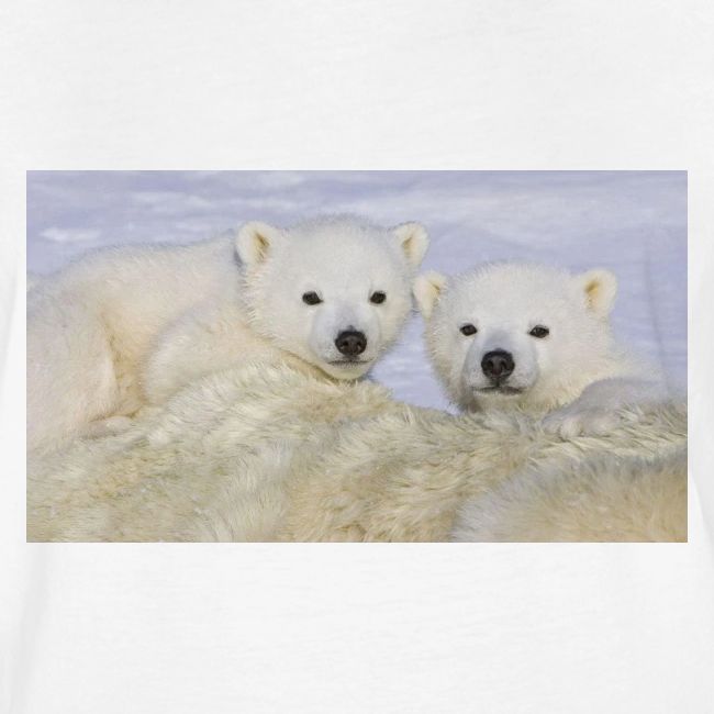 polarbears