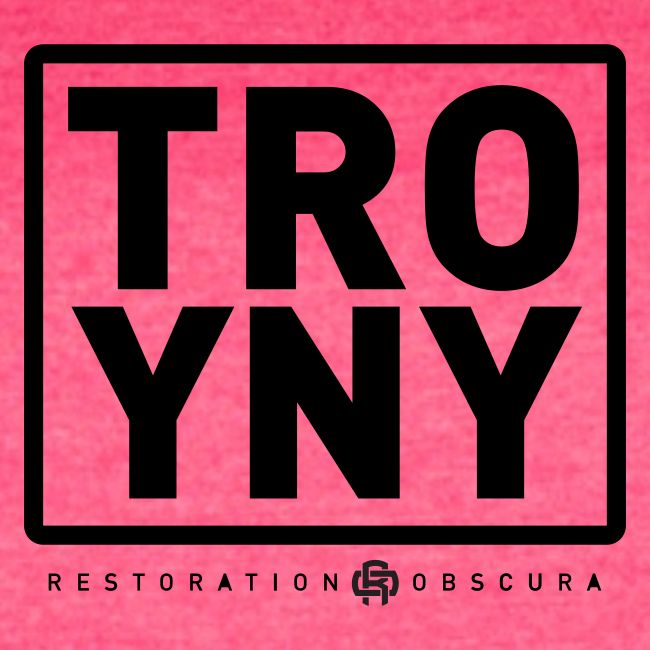 TROY NY Cube