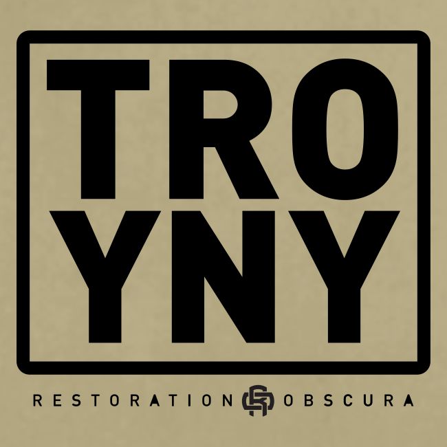 TROY NY Cube