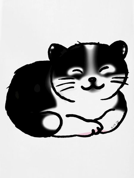 Black And White Cat
