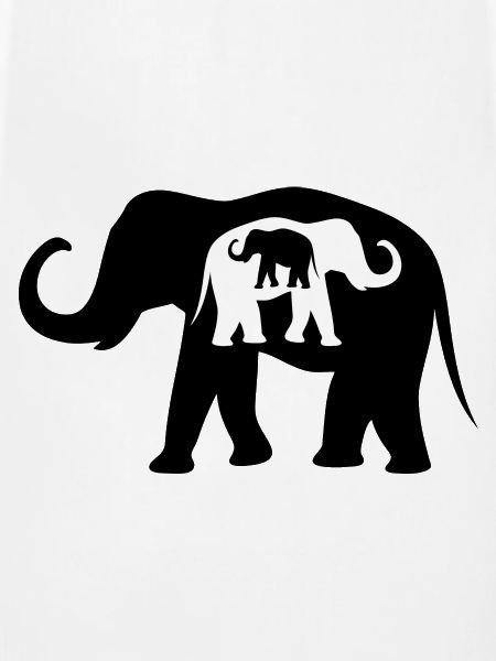 Black And White Elephants