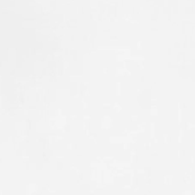 Epifluence E white