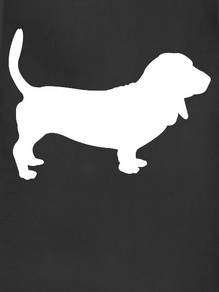 Basset Hound Dog