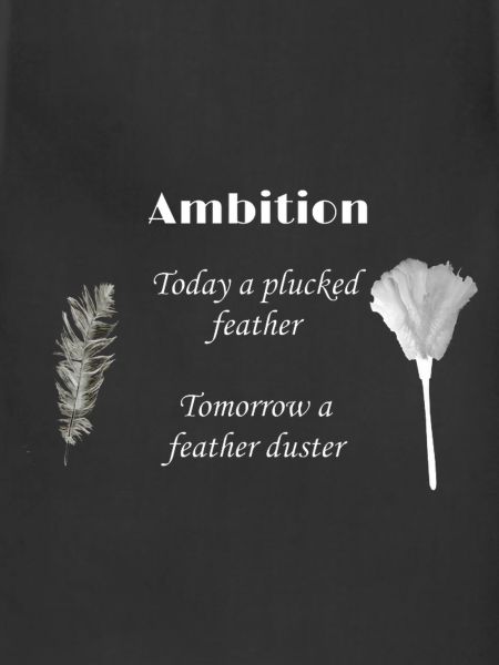 ambition of a feather