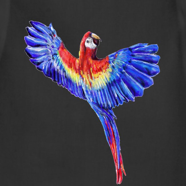 Scarlet macaw parrot