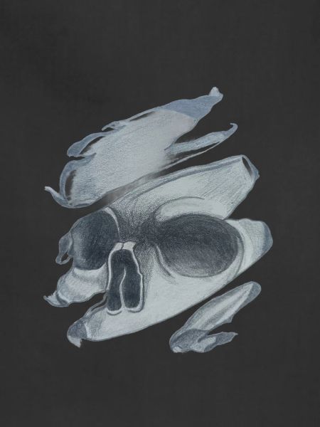 Art Skull