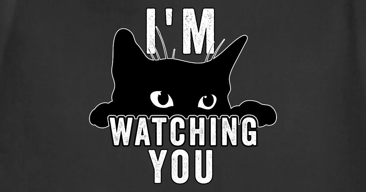 im watching you meme wallpaper