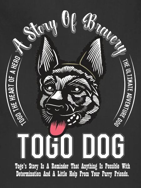 Dog Breed Togo Dog