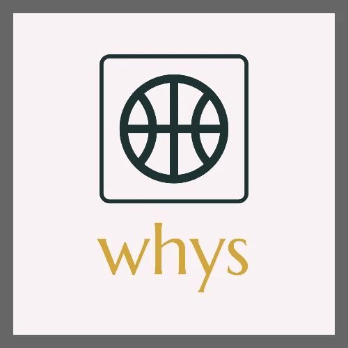 whys logo - Adjustable Apron