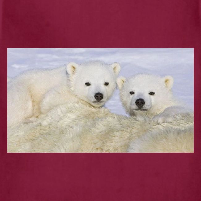 polarbears