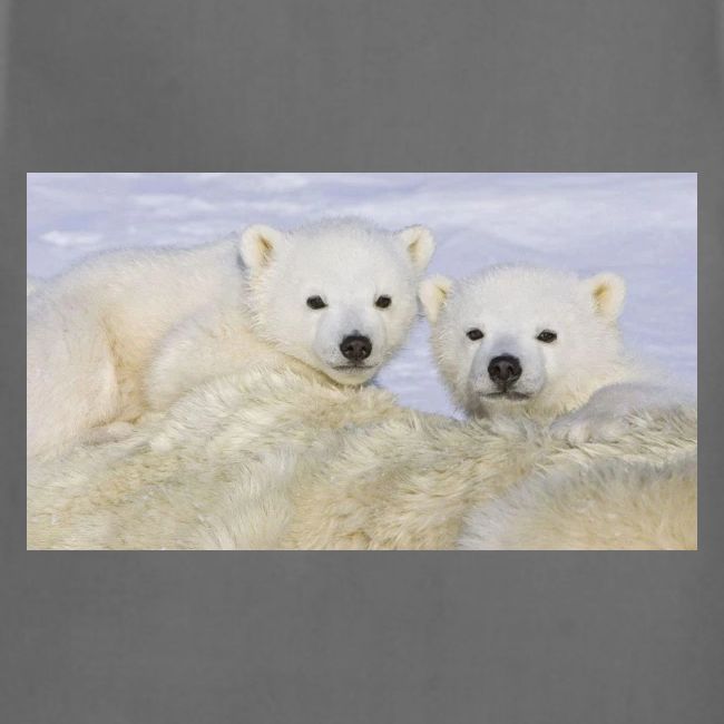 polarbears