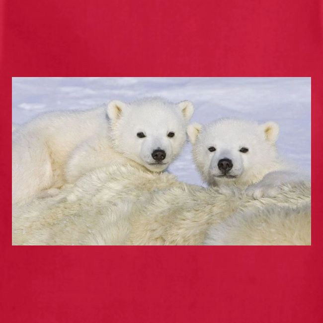 polarbears