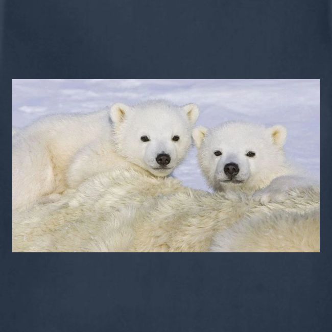 polarbears
