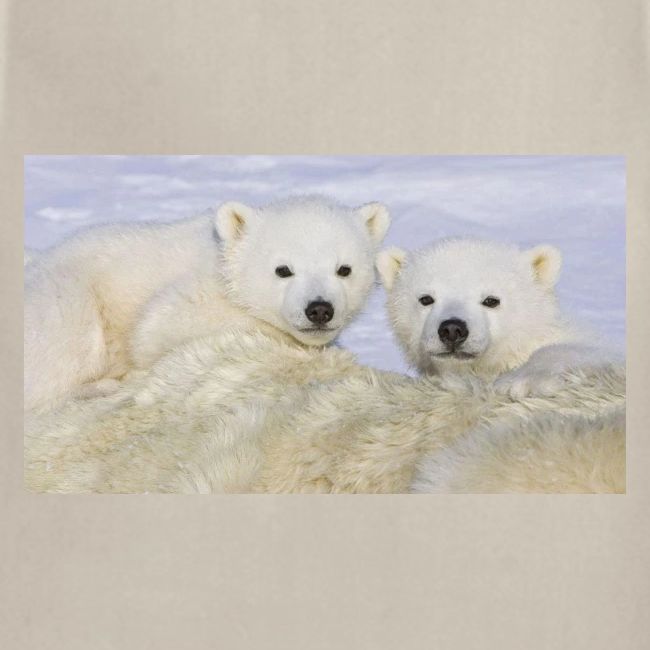 polarbears