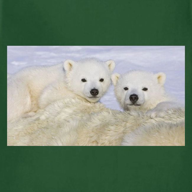 polarbears