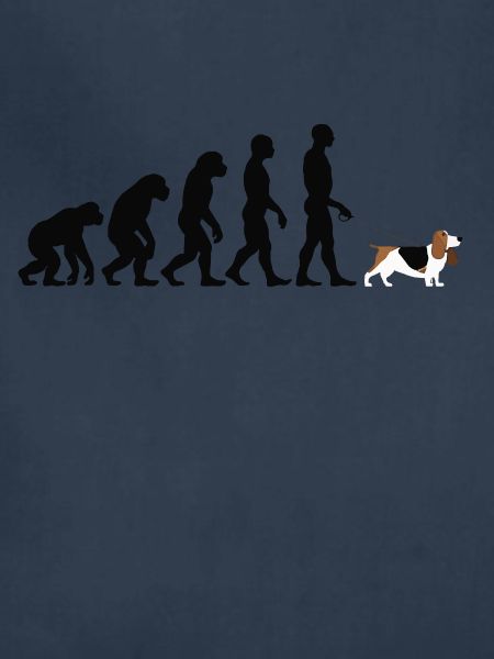 Basset Hound